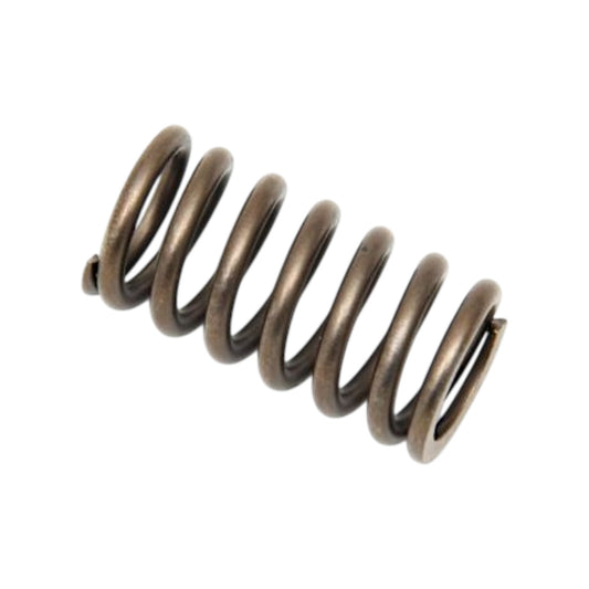 24208879 - Valve Spring