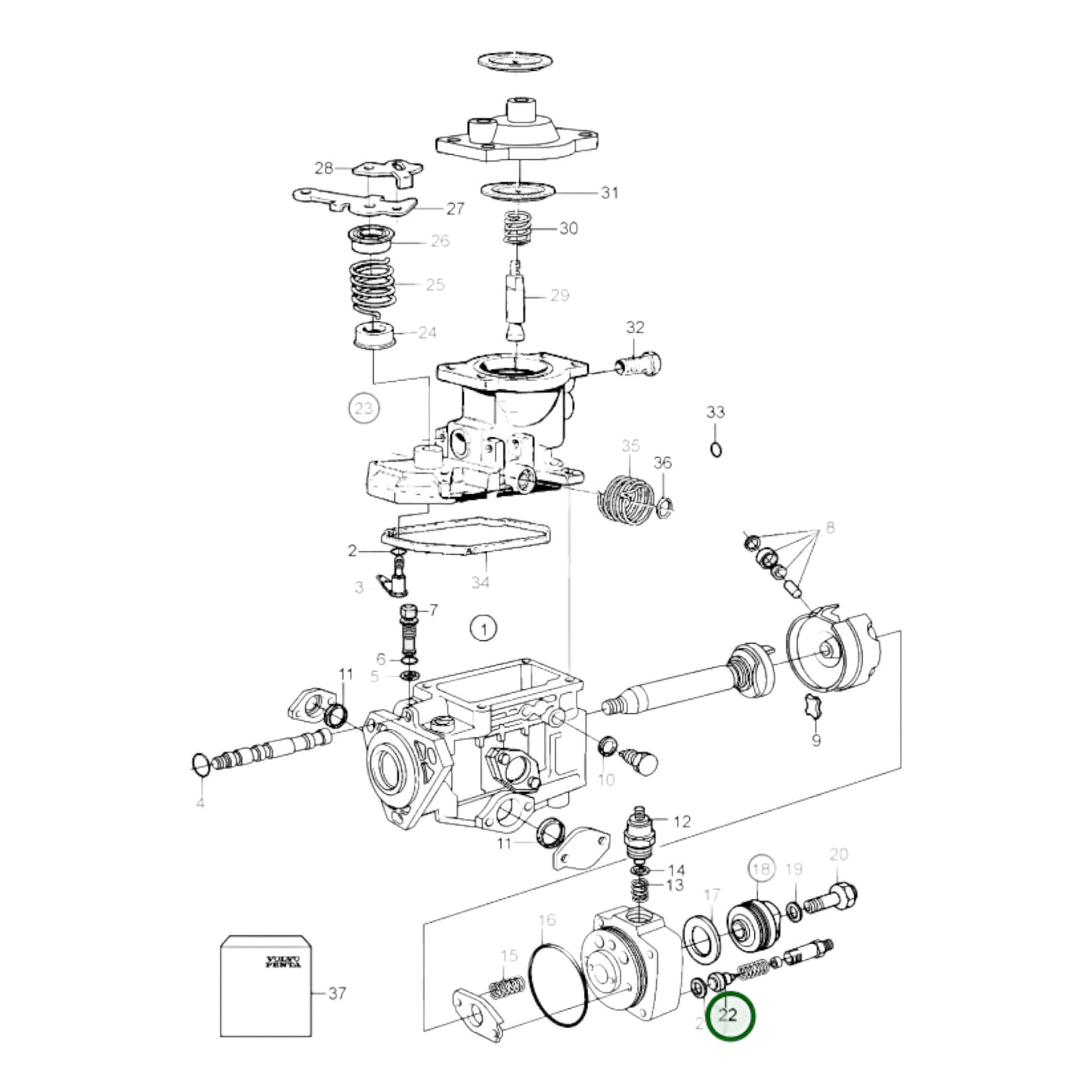 244927 - Delivery Valve