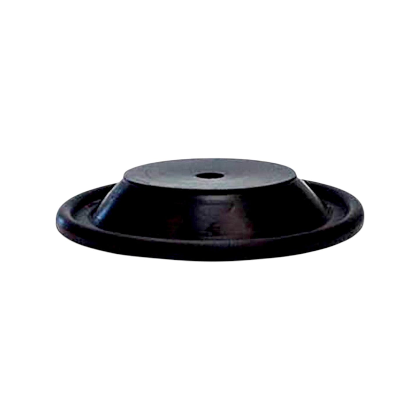 244944 - Diaphragm