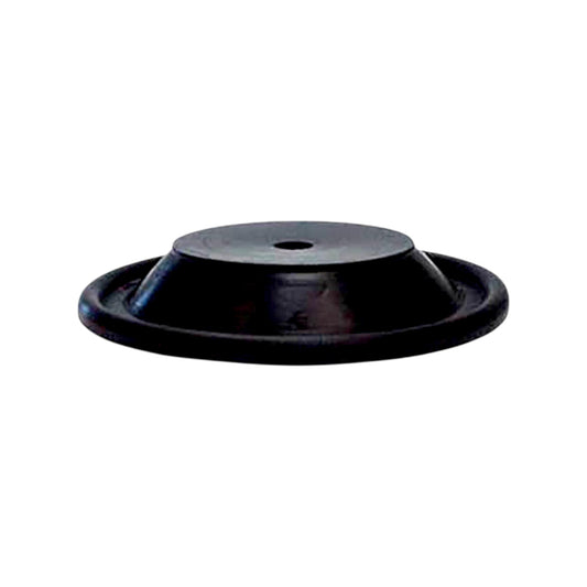 244944 - Diaphragm