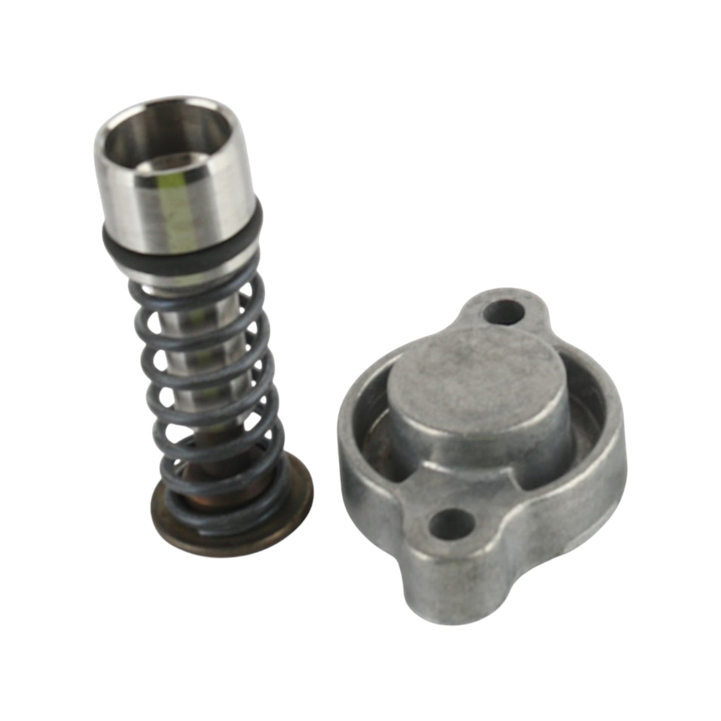 3169689 - Relief Valve