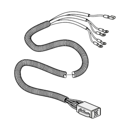 3807229 - Wiring Harness