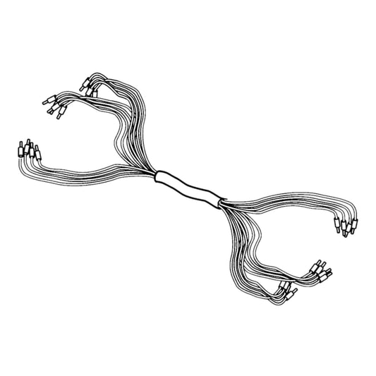 3818571 - Wiring Harness