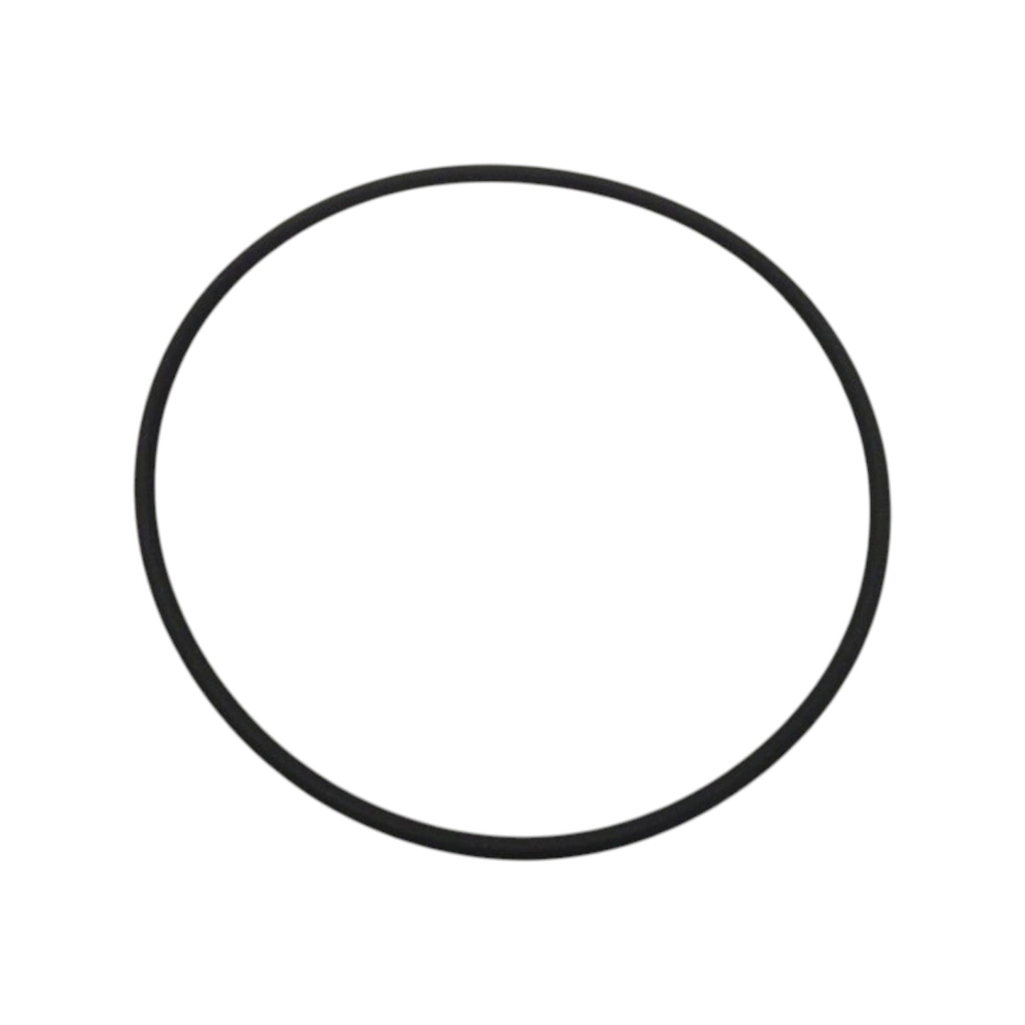 3838406 - O-Ring