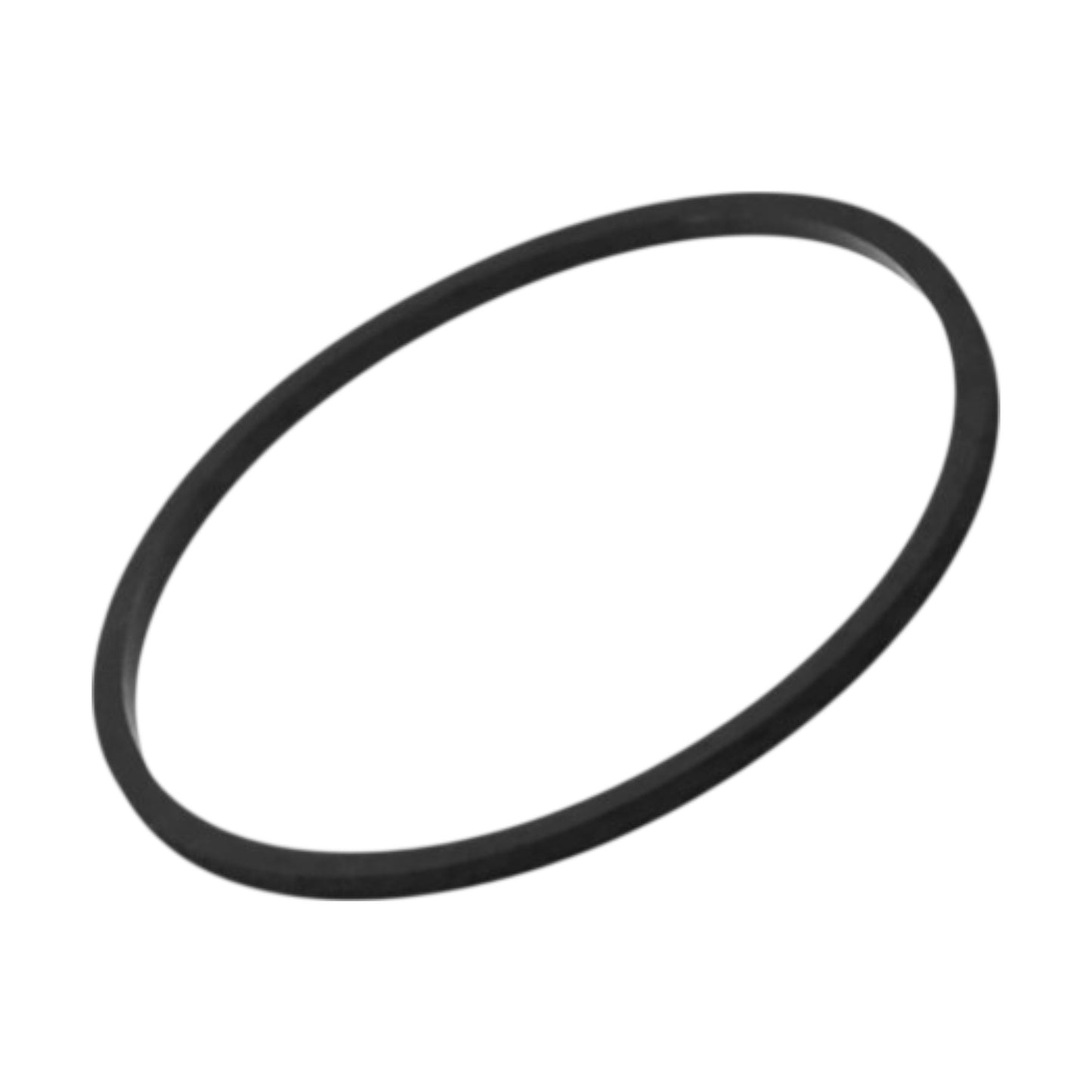 3838861 - Gasket