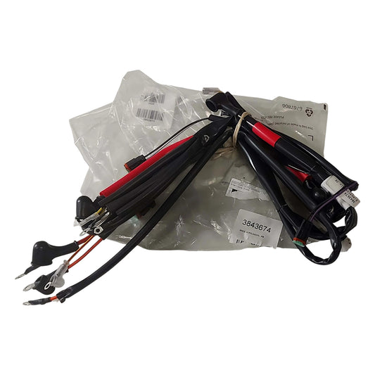 3843674 - Wiring Harness