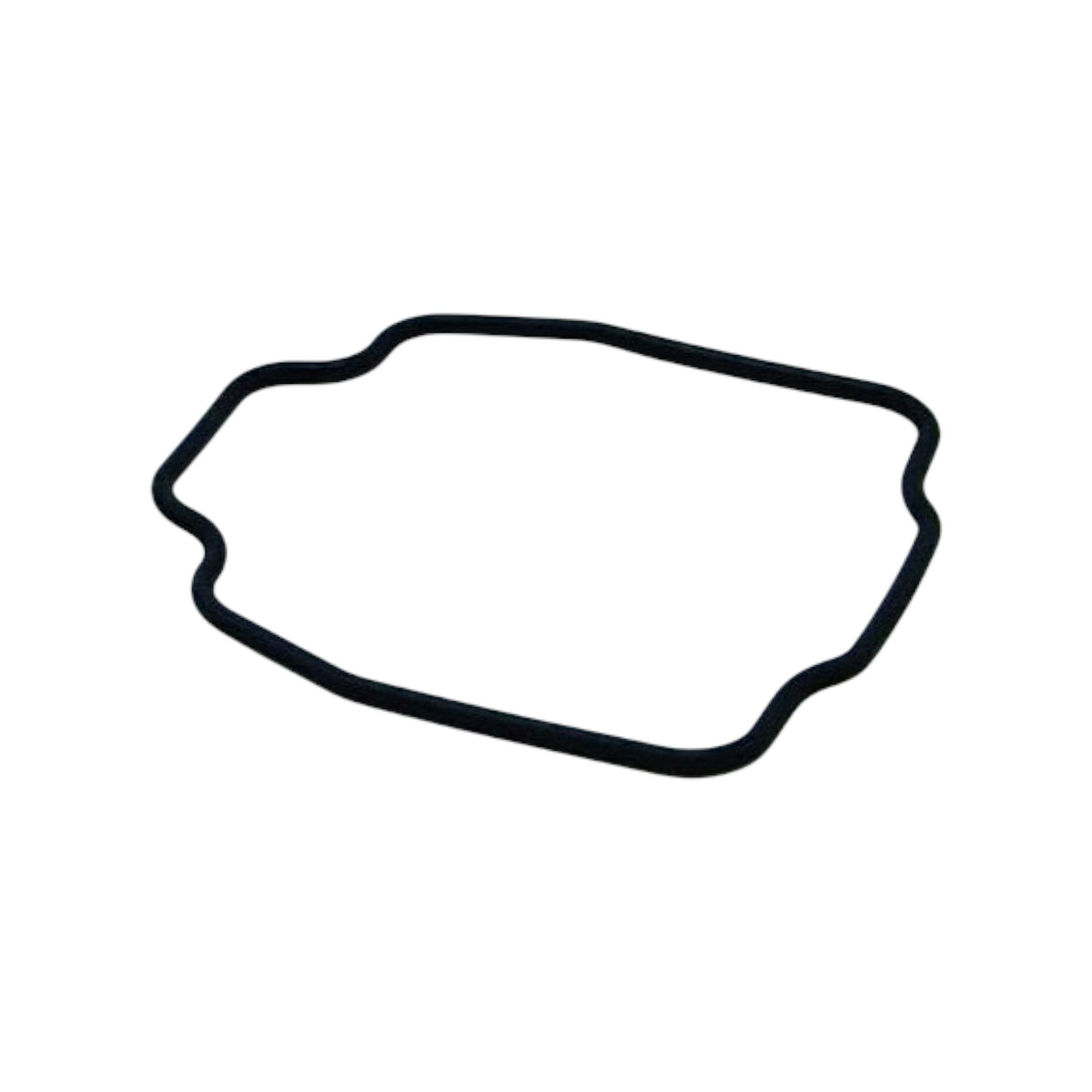 3860984 - Seal