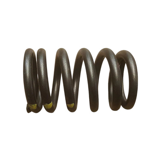 3861335 - Valve Spring