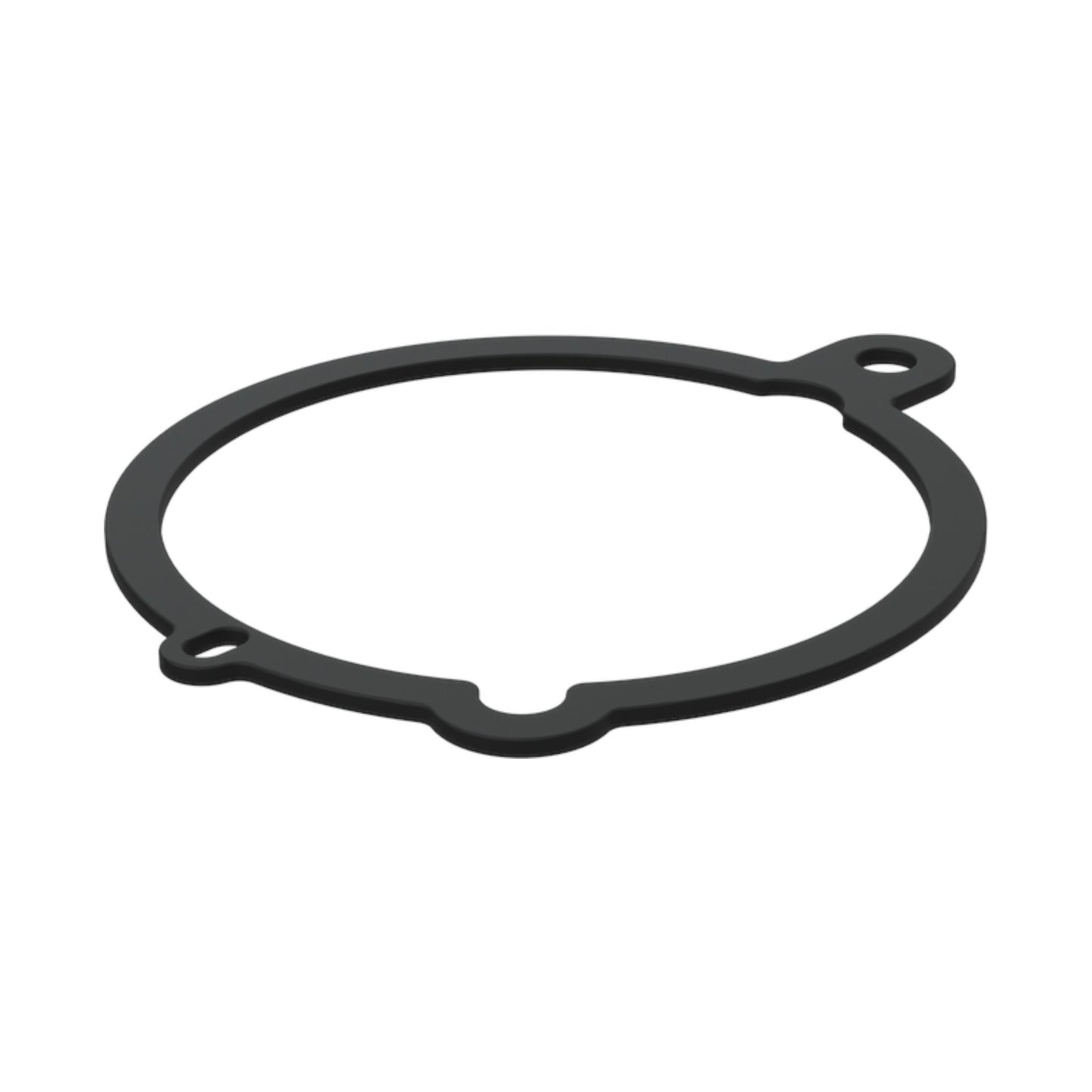 3862105 - Gasket