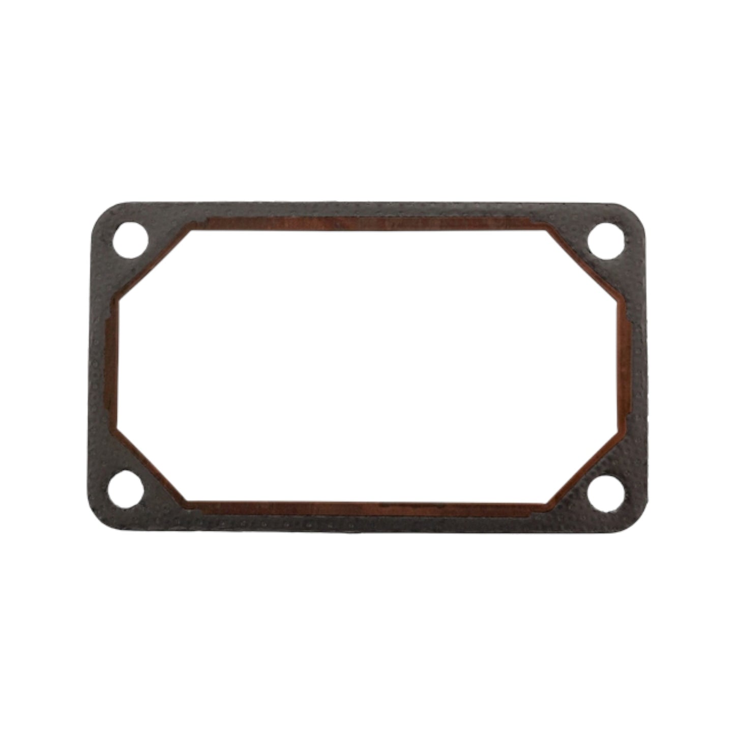 3979639 - Plane Gasket