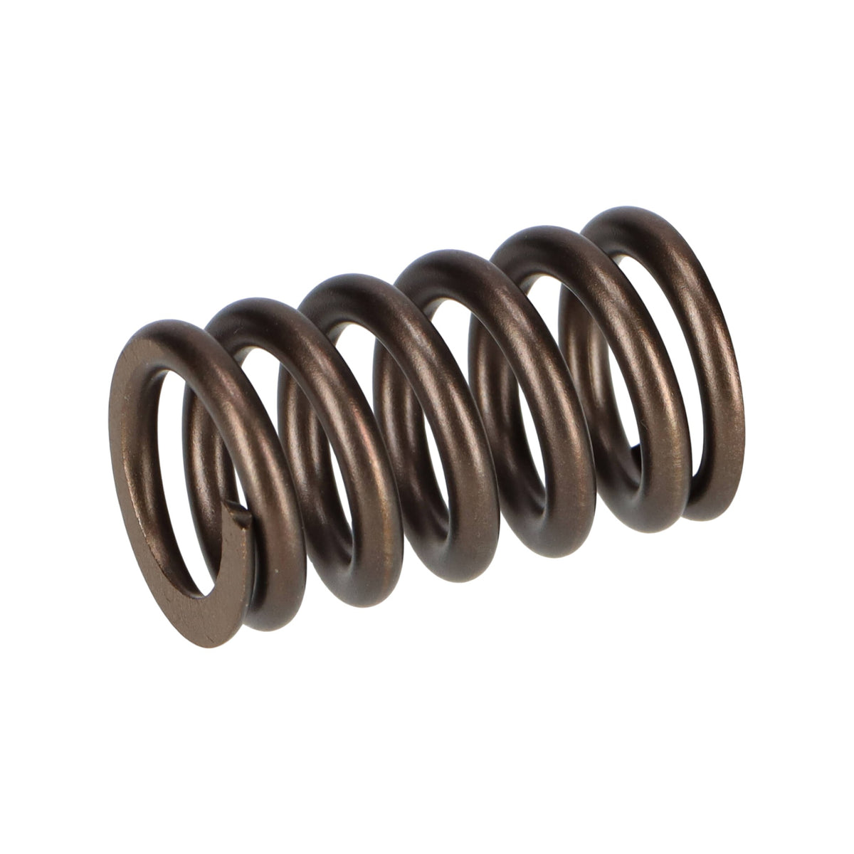418737 - Valve Spring