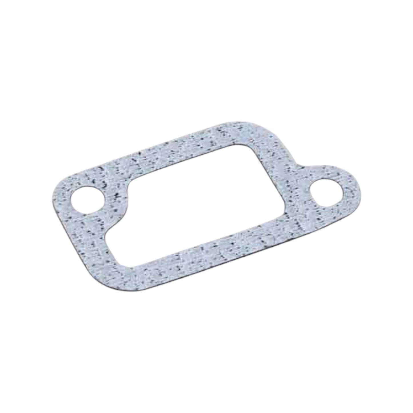 Gasket - 424623