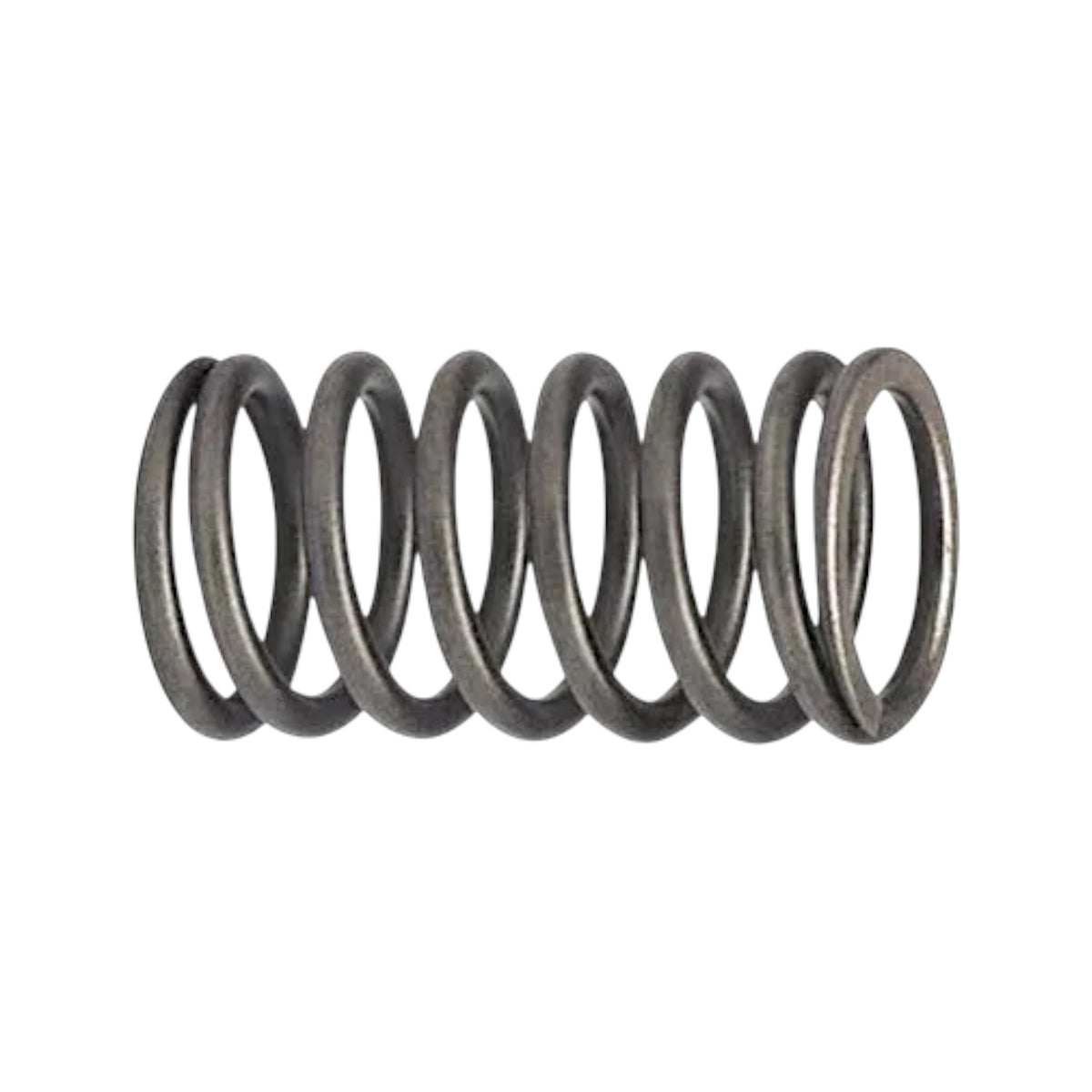 468066 - Valve Spring