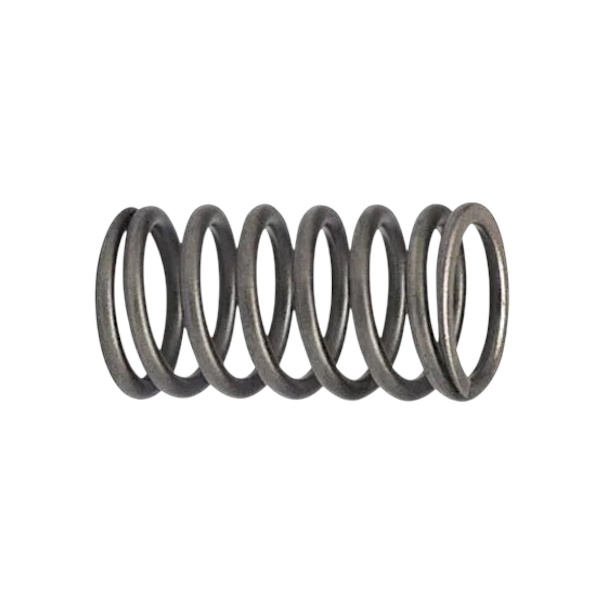 468067 - Valve Spring