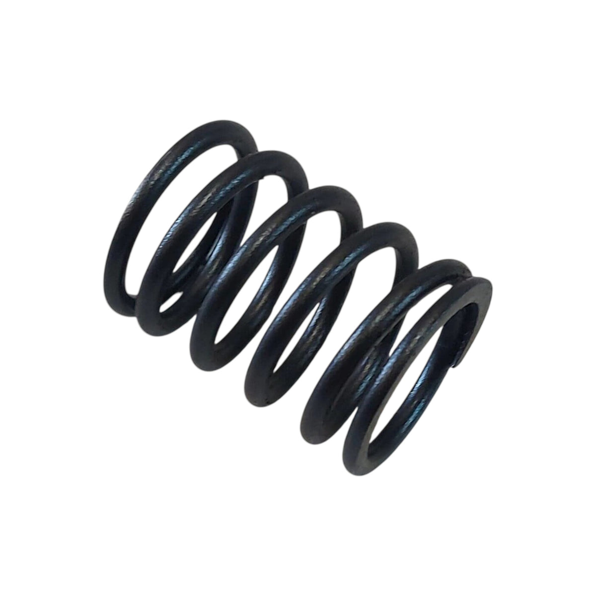 838081 - Valve Spring