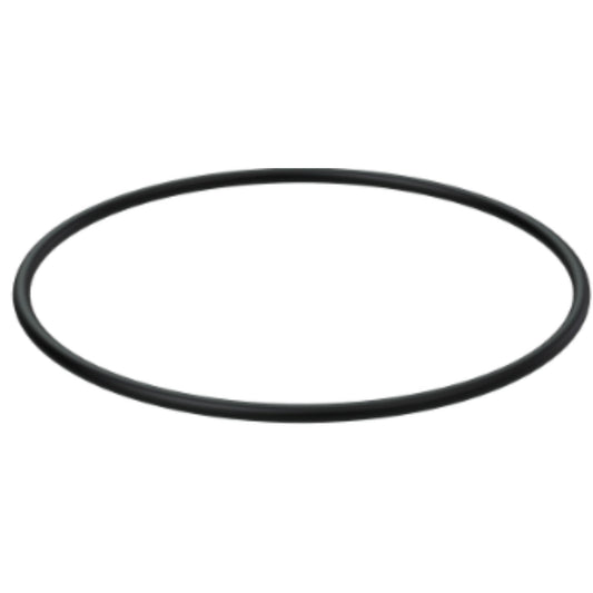 60112724 - O-Ring
