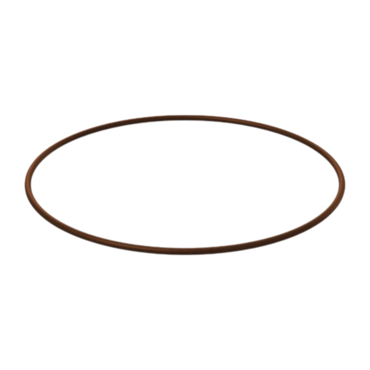 3887153 - O-Ring