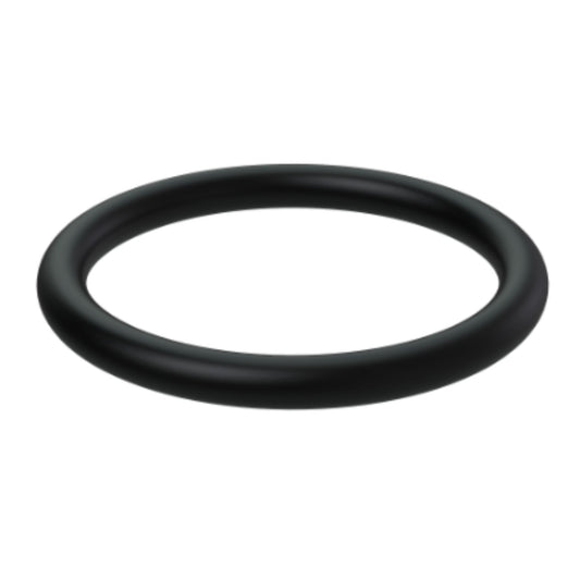838821 - O-Ring