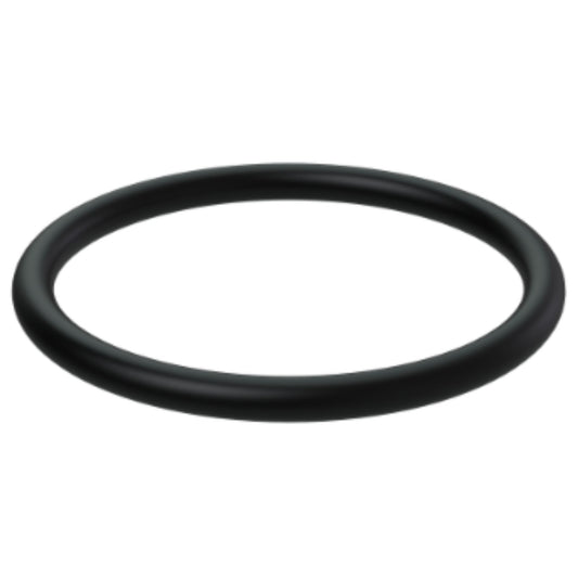 20405535 - O-Ring