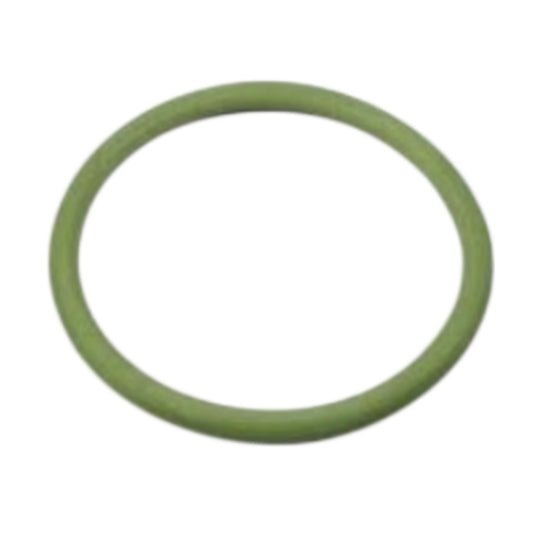 20498524 - O-Ring