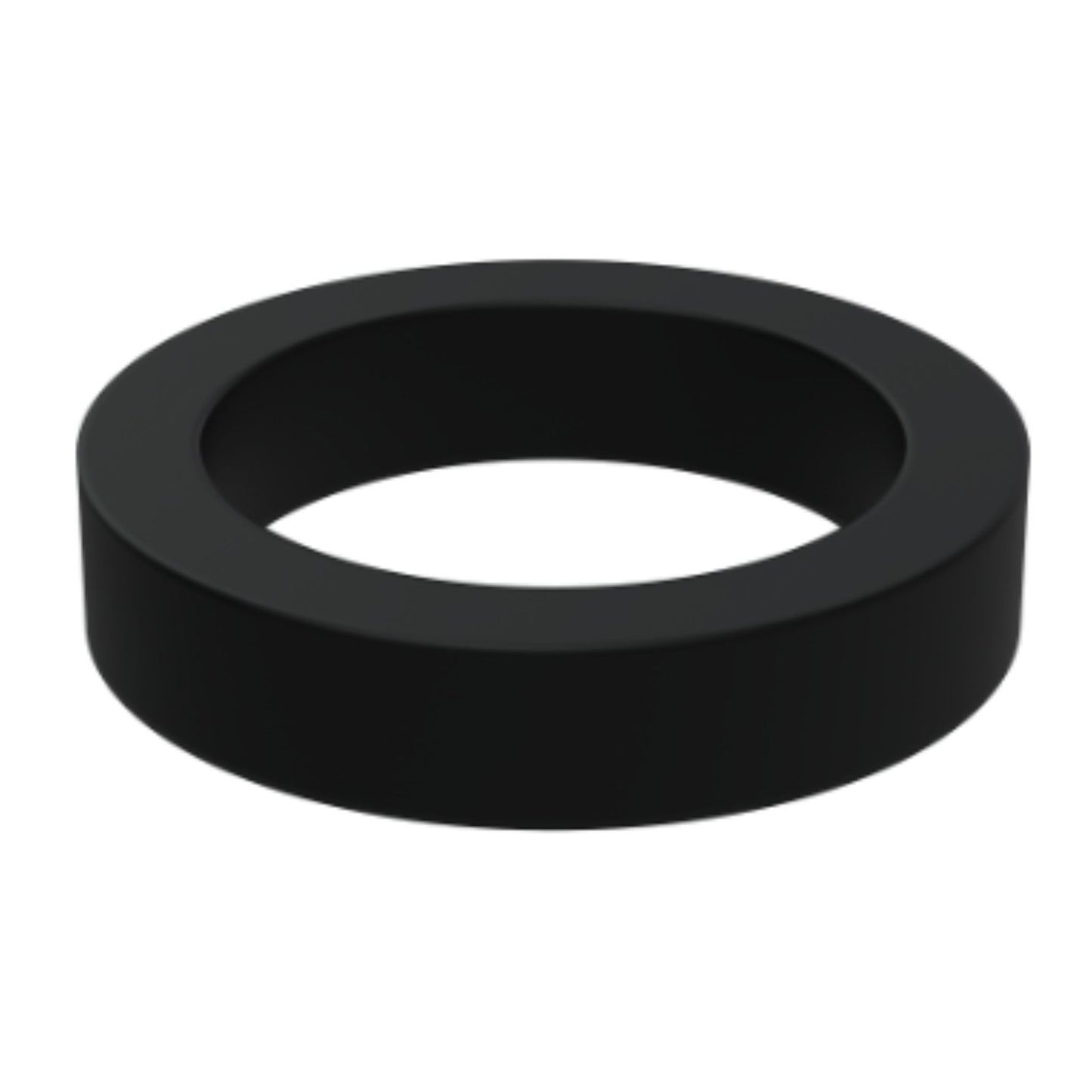 419805 - Sealing Ring