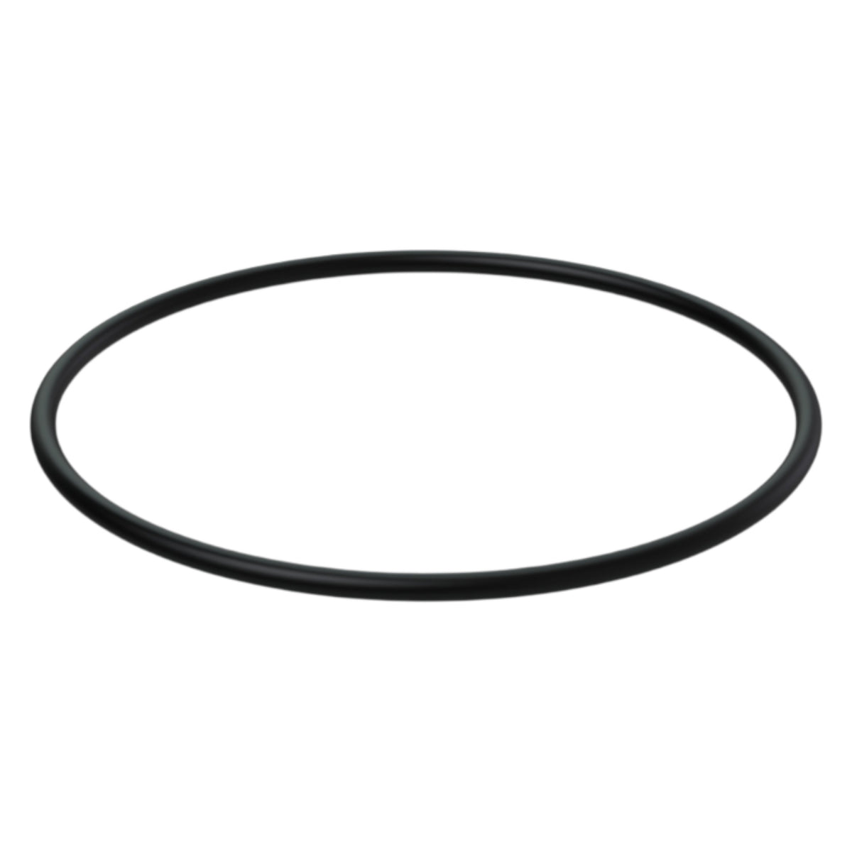 841176 - Sealing Ring