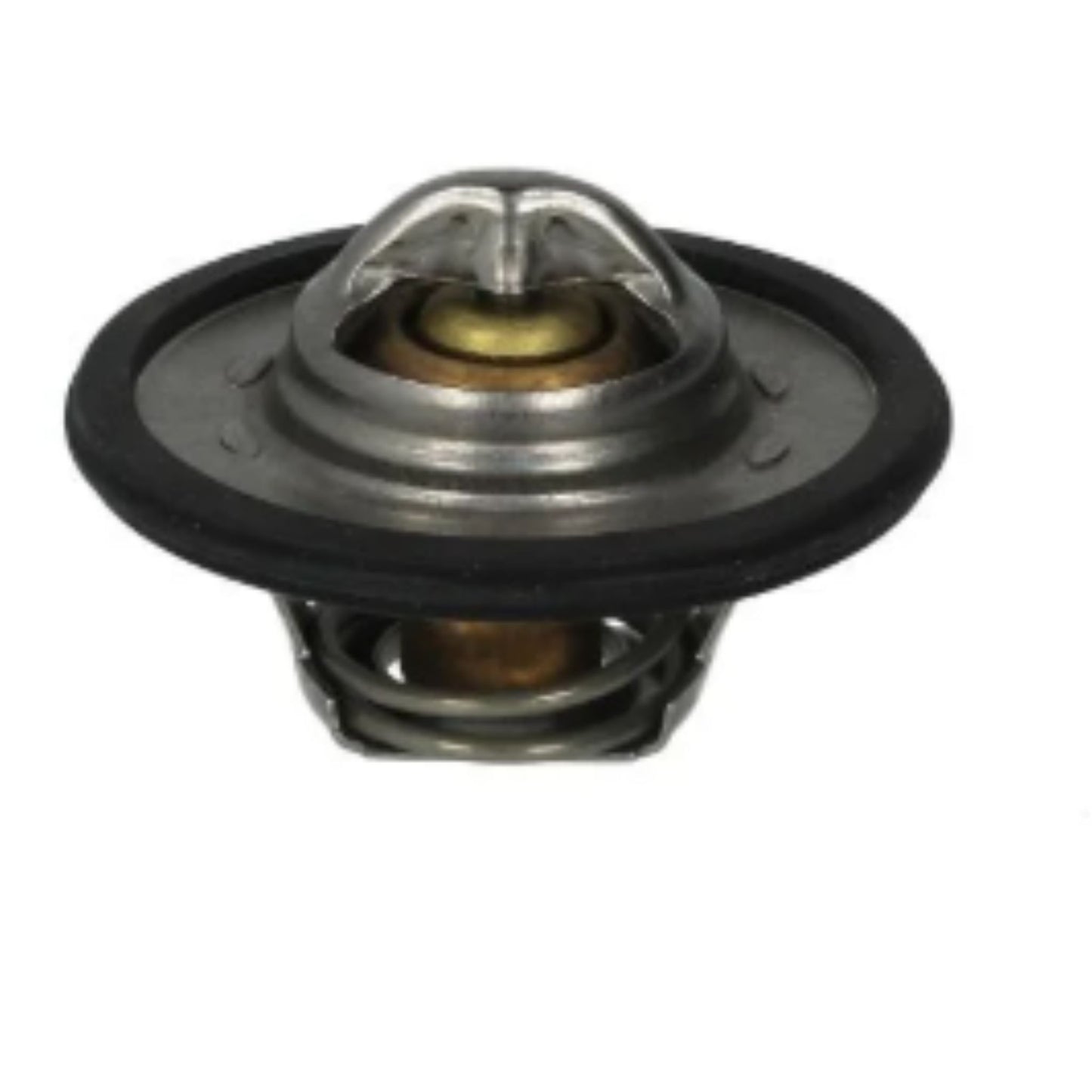 273950 - Thermostat Kit