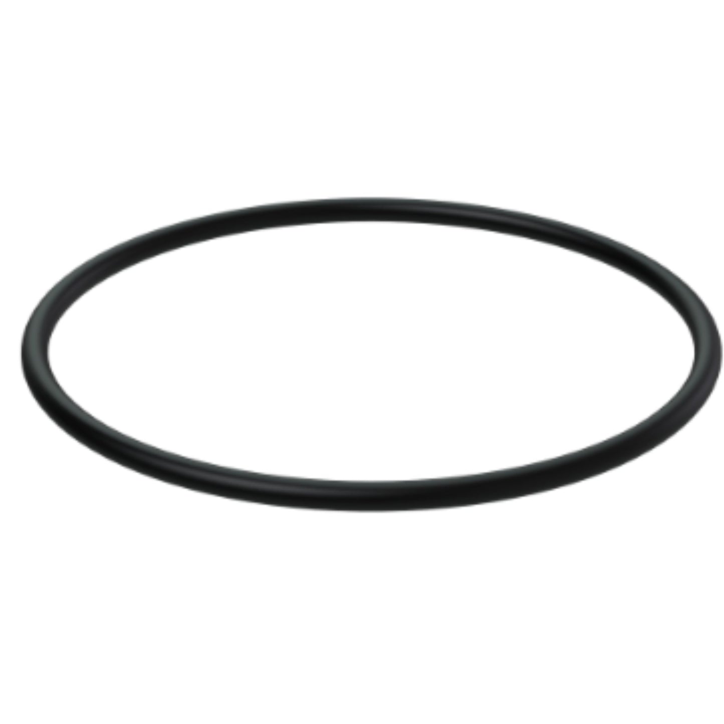 3858938 - O-Ring