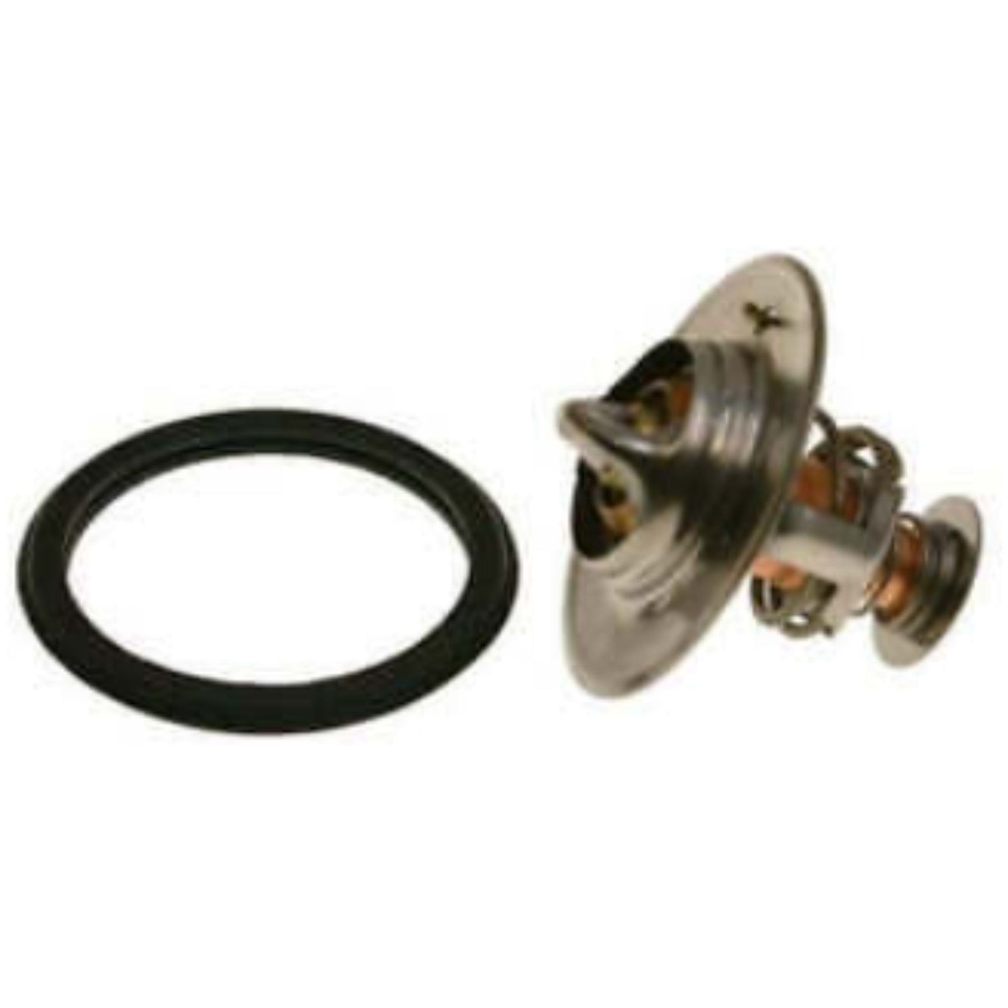 875785 - Thermostat Kit