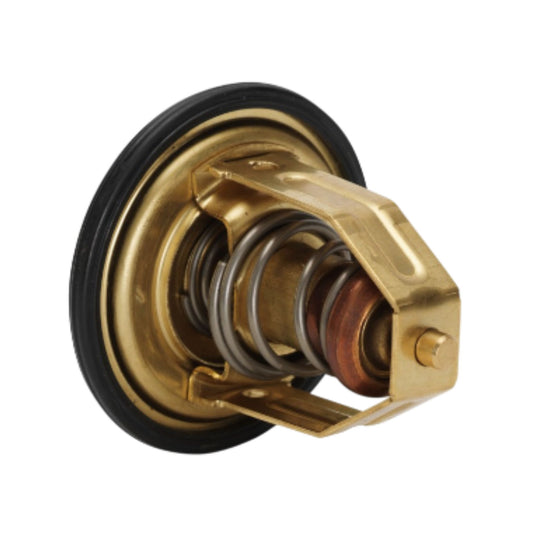 876080 - Thermostat Kit