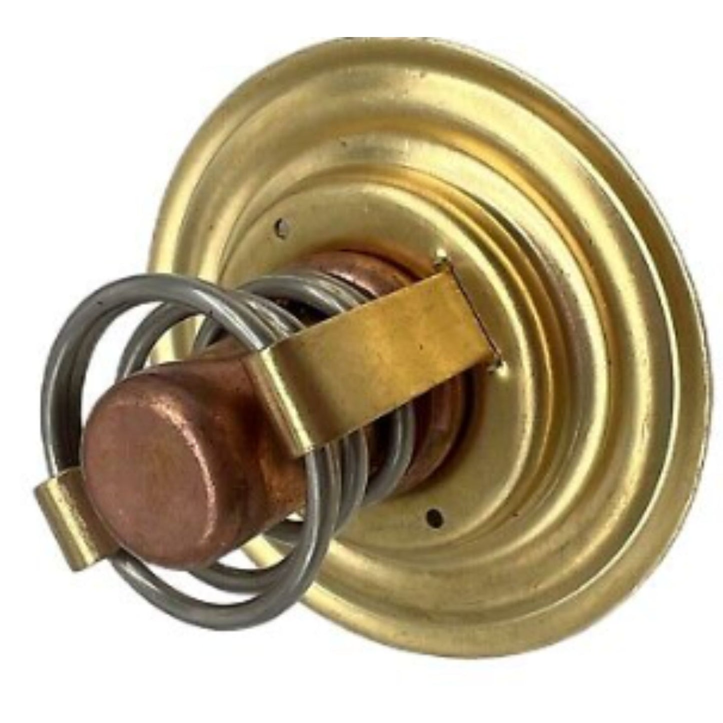 875796 - Thermostat Kit