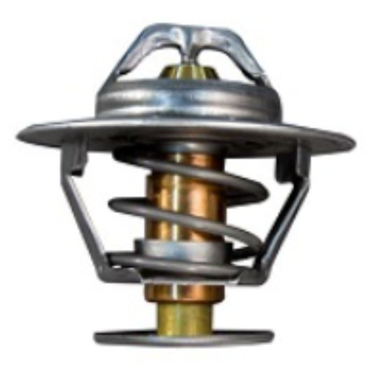 876305 - Thermostat Kit