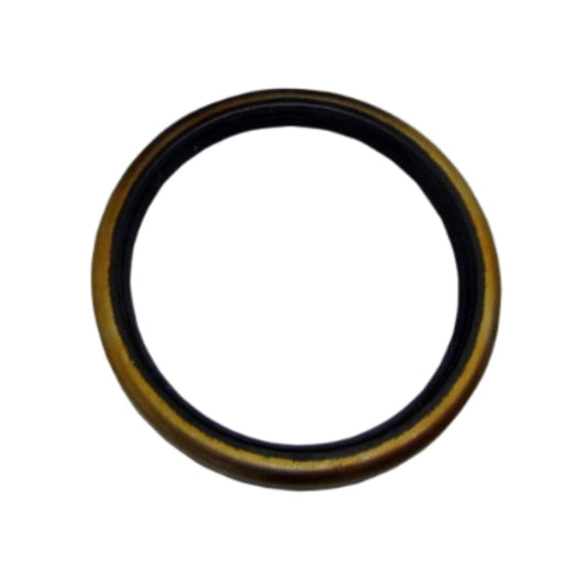 181620 - Sealing Ring