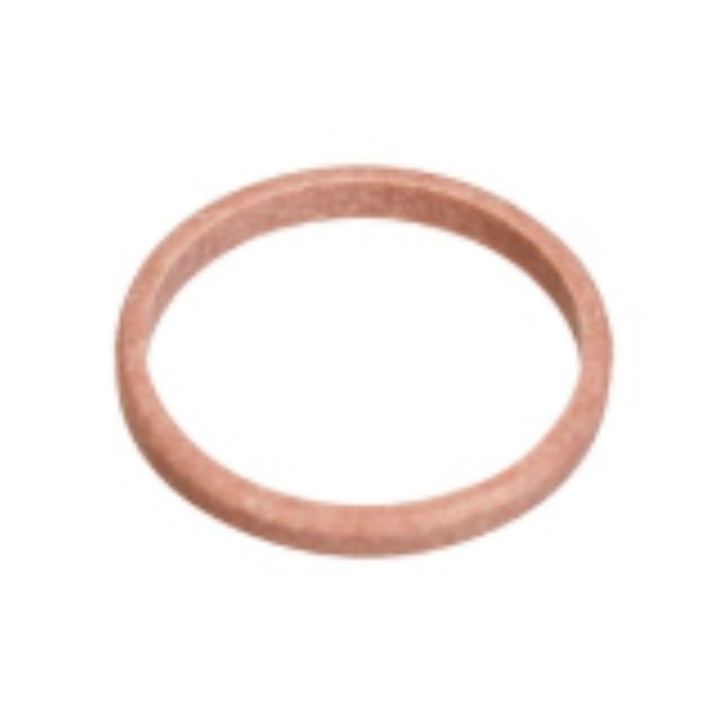 20405569 - Sealing Ring