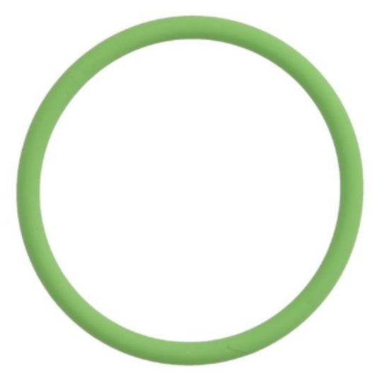 20405578 - O-Ring