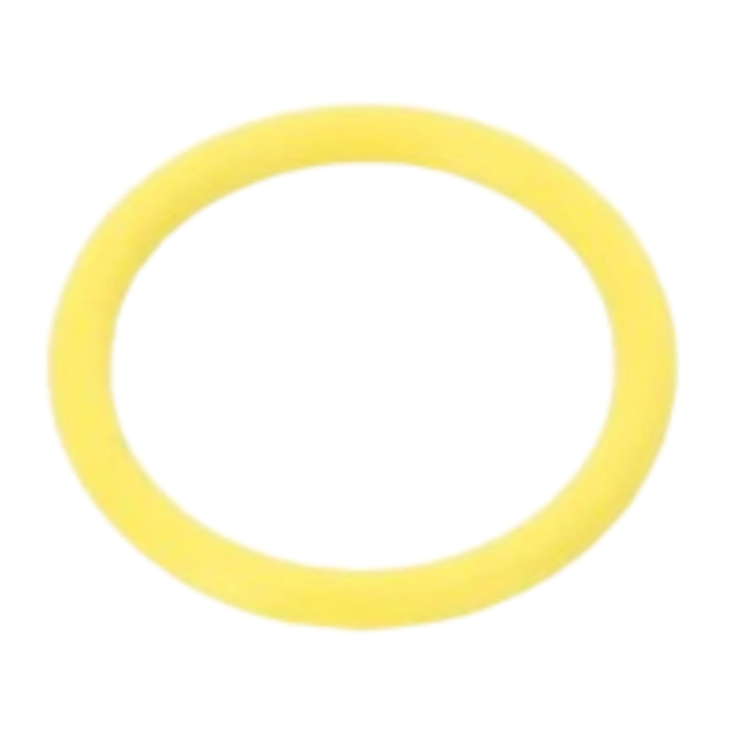20443759 - O-Ring