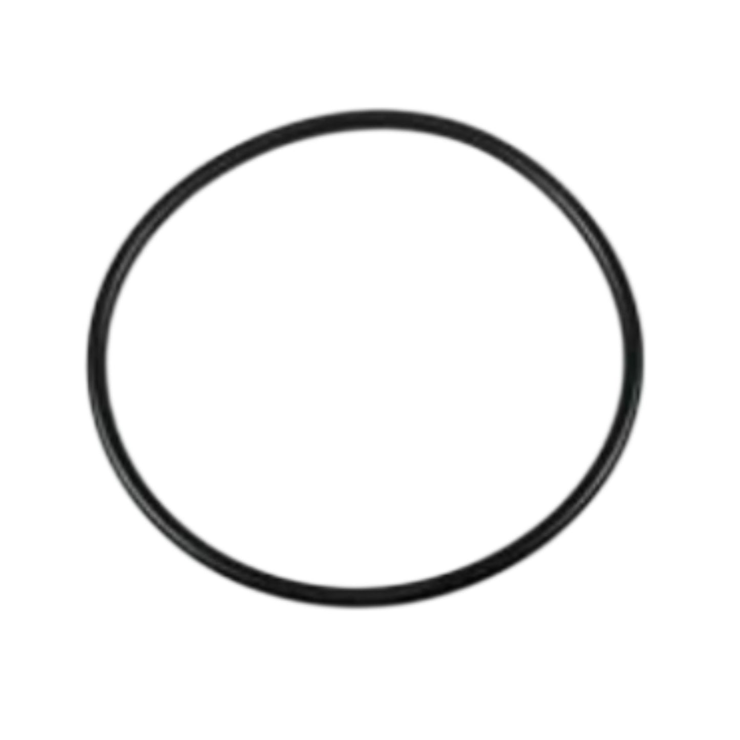 20459005 - Sealing Ring