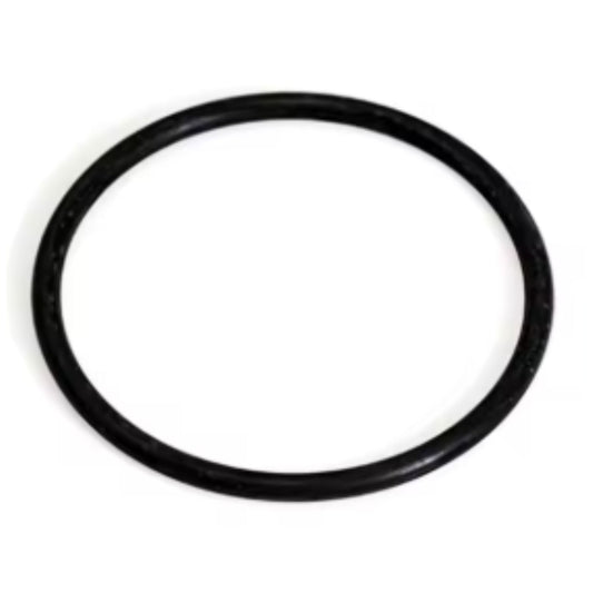 20793394 - O-Ring