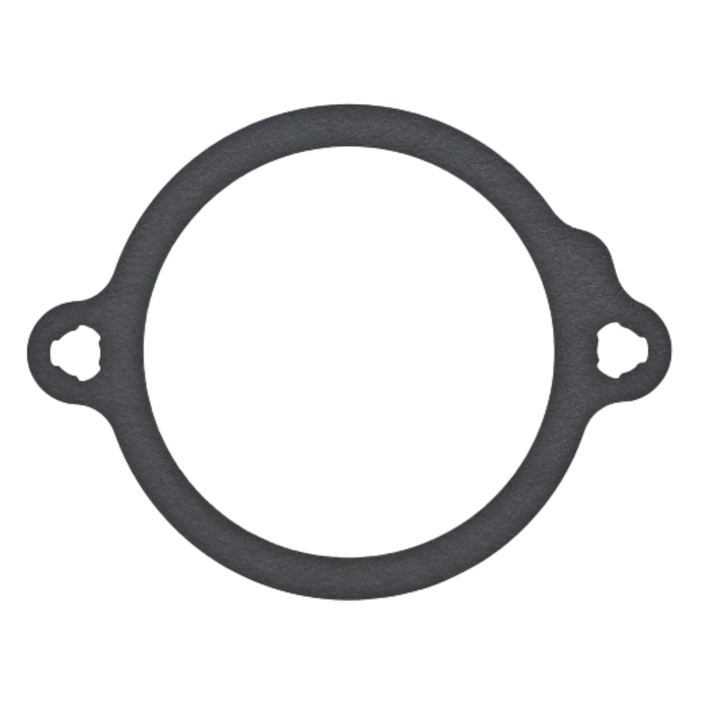 20794103 - Gasket