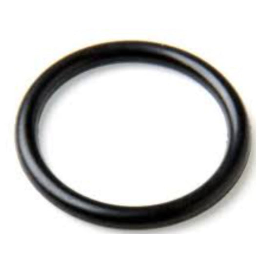 21056638 - O-Ring