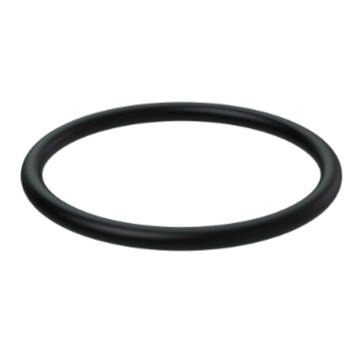 20966752 - O-Ring