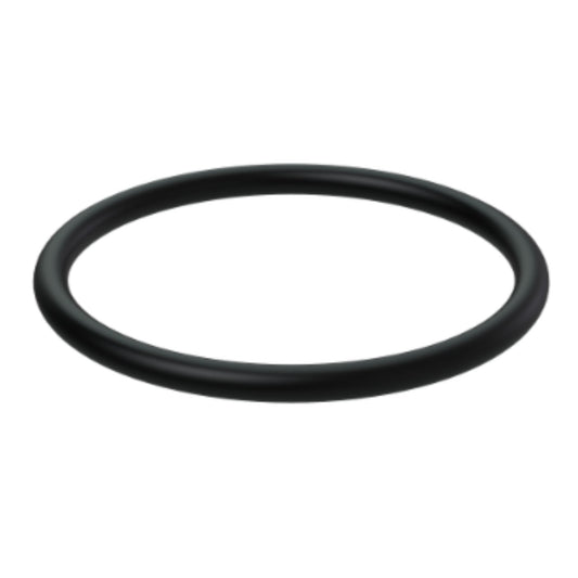 20926322 - O-Ring