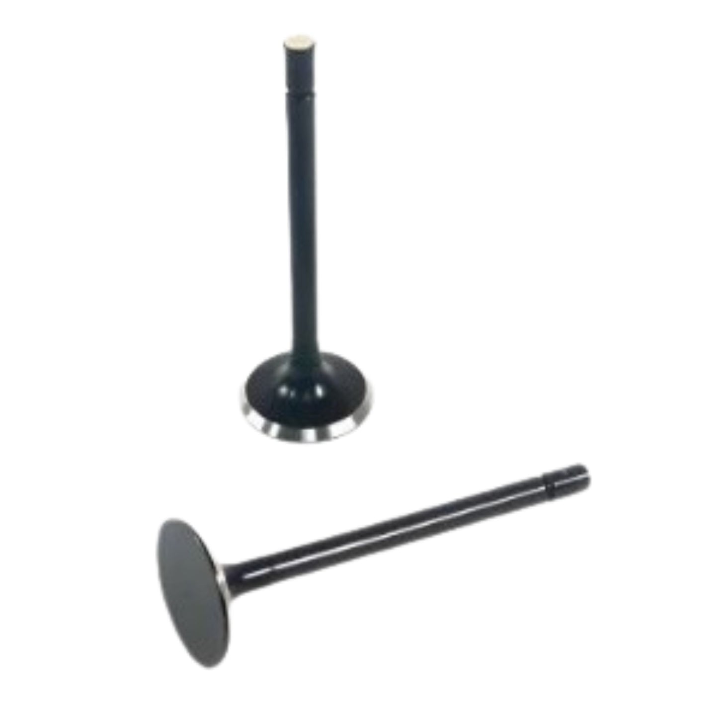 21428679 - Exhaust Valve