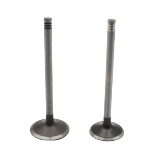 21739130 - Exhaust Valve