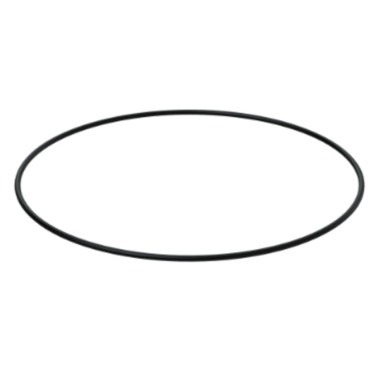 22229031 - Rubber Ring