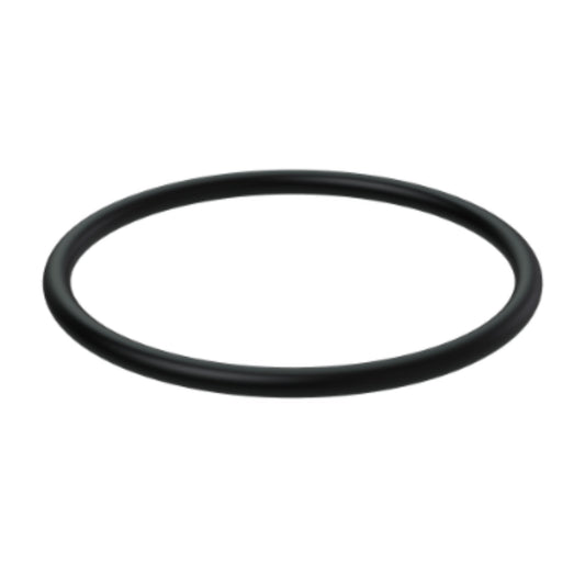 3842016 - O-Ring