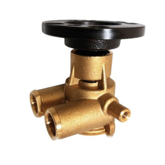 3860703 - Seawater Pump