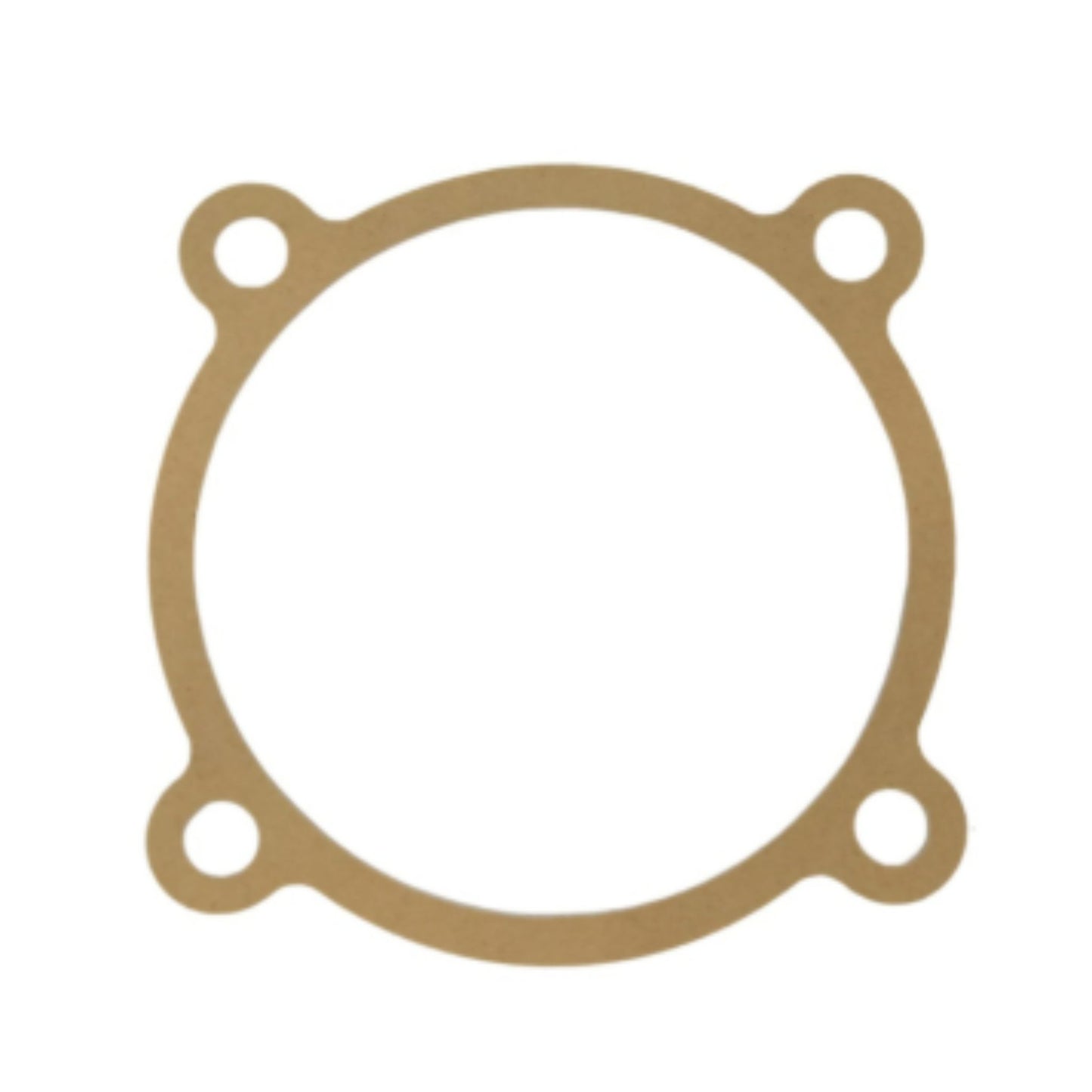 842597 - Gasket