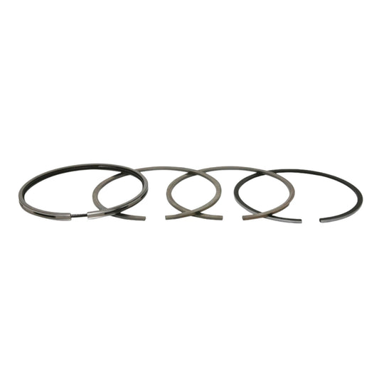875498 - Piston Ring Kit