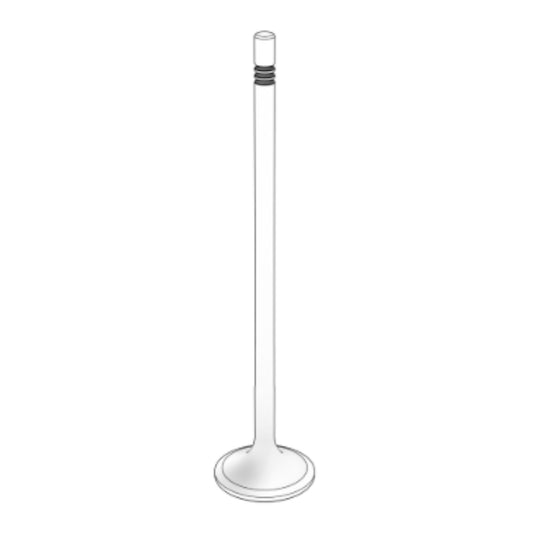 3861338 - Exhaust Valve